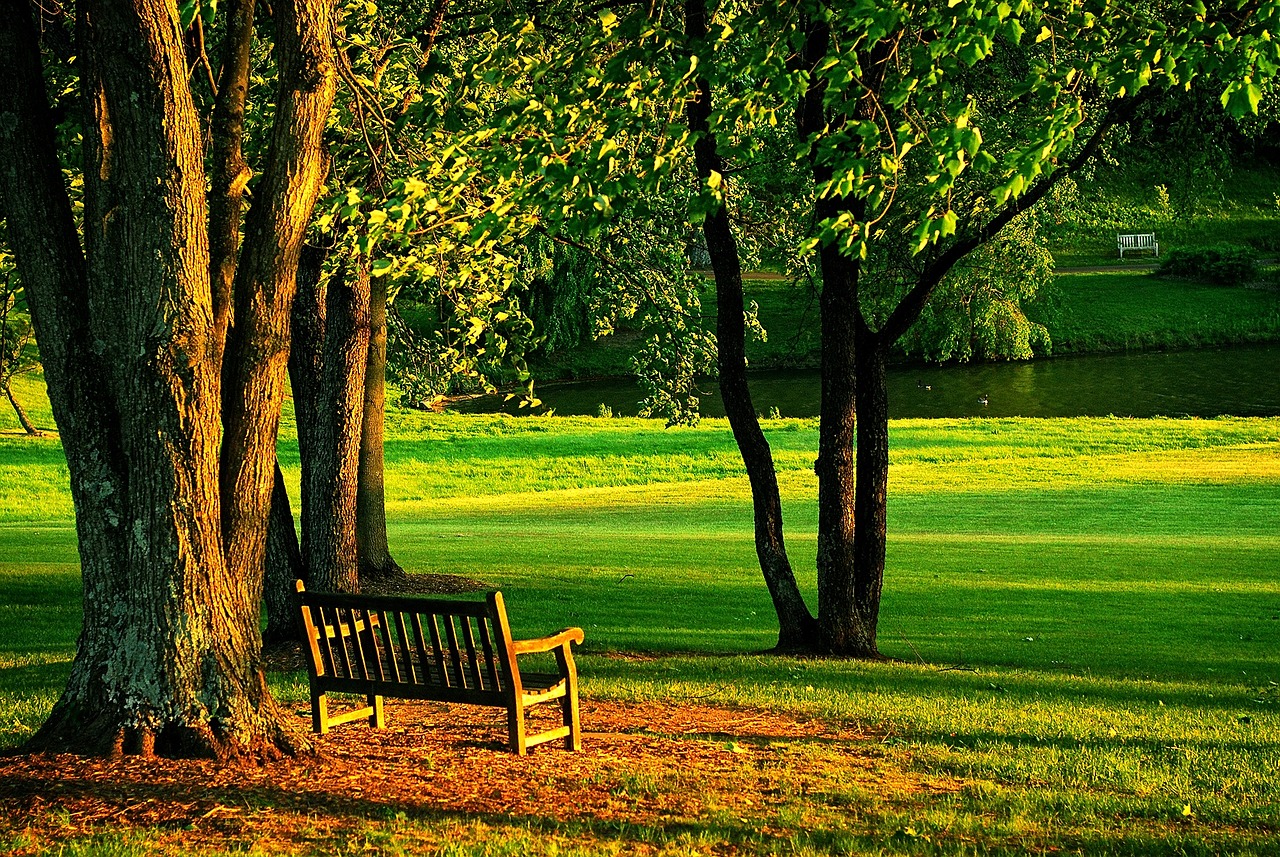 How to Create a DIY Garden Bench